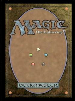 Triumphant Adventurer Foil (237) Adventures in the Forgotten Realms AFR MTG - Image 2