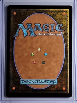 2025 MTG Magic The Gathering FIN Final Fantasy Borderless Foil #362 Summon Shiva - Image 2