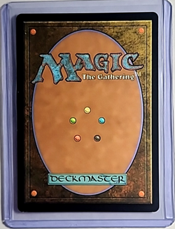 2024 MTG Magic the Gathering Secret Lair Drop Anime Foil 804 Beloved Princess LP - Image 2
