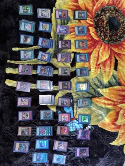 Yu-Gi-Oh! Rarity Collection V (English) 1st Edition- 507 Card Mixed Rarity Lot - Image 3