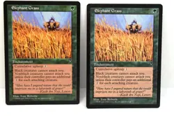 MTG,ELEPHANT GRASS (x2), VISIONS, NM, NEVER BEEN PLAYED - Image 1