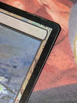 MTG Magic The Gathering Polluted Delta Judge Promo - Some Wear - Very Good - Image 3