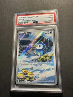 Piplup 098/094 Pokemon Phantasmal Flames Illustration Rare 2025 PSA 10 - Image 1