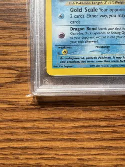 2001 Shining Magikarp Holo Secret Rare 66/64 - Neo Revelation - PSA 8 - Pokemon - Image 4