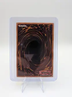 Moray of Greed SDRE-EN029 1st Edition Yu-Gi-Oh Sea Emperor Common NM - Image 2