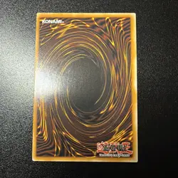 Yu-Gi-Oh-DOOD EN055- Black Rose Garden - Ultra Rare 1st Edition NM - Image 4