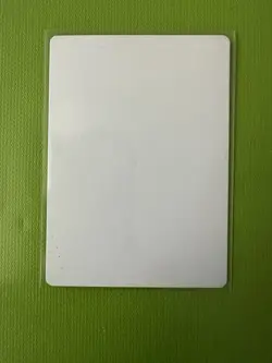 MTG Sunastian Falconer Artist Proof From The Family Of Artist Christopher Rush - Image 2