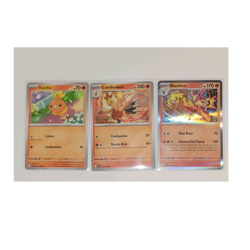 Pokemon TCG Torchic Evolution Line – Blaziken Holo / Combusken / Torchic NM - Image 1