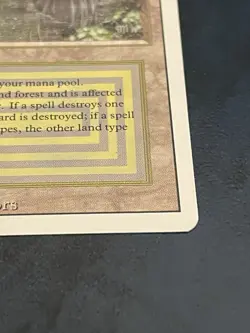 Bayou Revised Edition Mtg Dual Land Magic The Gathering Card LP - Image 3