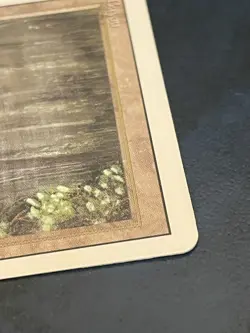 Bayou Revised Edition Mtg Dual Land Magic The Gathering Card LP - Image 4