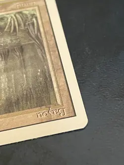 Bayou Revised Edition Mtg Dual Land Magic The Gathering Card LP - Image 5