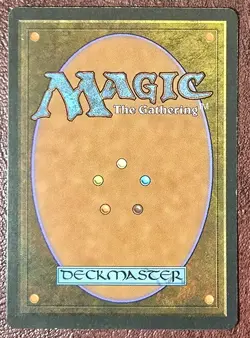 Flooded Woodlands - MtG Ice Age - Rare NM 1995 - Image 3