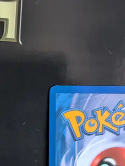 Pokemon TCG Suicune HGSS21 2010 Fall Collector's Tin Black Star Promo Holo NM - Image 5