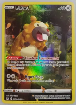 Bidoof GG29/GG70 Pokemon Crown Zenith: Galarian Gallery Holo NM (2 of 4) - Image 1