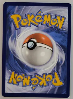 Bidoof GG29/GG70 Pokemon Crown Zenith: Galarian Gallery Holo NM (2 of 4) - Image 2