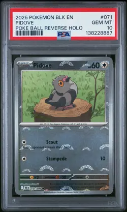 2025 POKEMON BLK EN-BLACK BOLT POKE BALL REVERSE HOLO #071 PIDOVE PSA 10 - Image 1