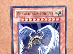 yugioh Winged Kuriboh LV10 DR04-EN005 Ultra Rare near mint - Image 3
