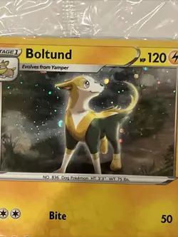 Boltund - Knockout Collection (Cosmos Holo) 076/202 SEALED PROMO Pokemon Card - Image 2