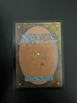 Wildwood Mentor - MTG Wilds of Eldraine Regular Rare 322 - Image 2