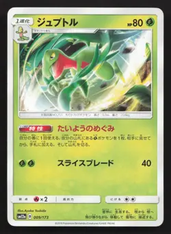 Grovyle 009/173 Tag All Stars LP Japanese Pokemon Card TCG - Image 1