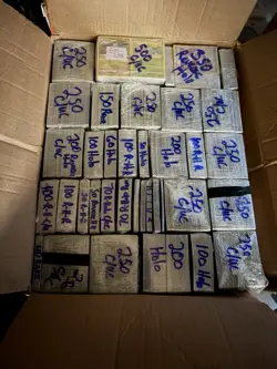 Pokemon Lot: 25 Ultra Rare, 200 Holo, 420 RH, 40 Rare, 500 C/UC - 1180+ Cards NM - Image 2