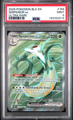 2025 POKEMON BLK EN-BLACK BOLT ULTRA RARE #156 SERPERIOR EX PSA 9 - Image 1