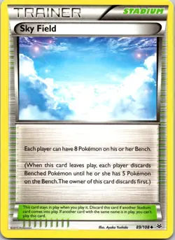 SKY FIELD - 89/108 - ROARING SKIES - - LP - Image 1