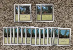 MTG Vintage Basic Land Lot (65 Cards) Old Border Forest Island Plains Swamp - Image 3