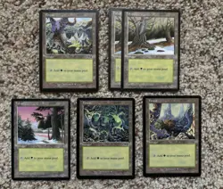 MTG Vintage Basic Land Lot (65 Cards) Old Border Forest Island Plains Swamp - Image 4