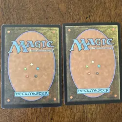 Spidersilk Armor Mercadian Masques Regular Magic, The Gathering MTG M/HP - Image 3