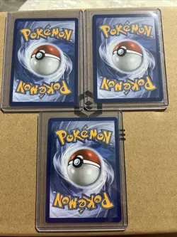 Pokemon 1st Partner Illustration Collections Turtwig #40 Chimchar #41 Piplup #42 - Image 2