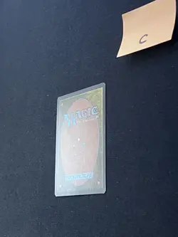 Bitterblossom (C) Morningtide MTG Magic 58/150 LP Light Play - Image 5