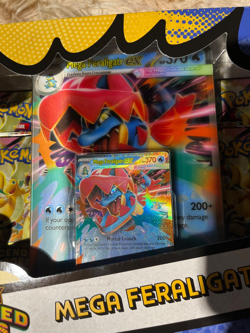 Pokemon Mega Feraligatr EX Box Mega Evolution Ascended Heroes, check description - Image 2
