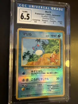 1999 Marill Southern Island Reverse Holo Promo Japanese Pokemon CGC 6.5 W/ Subs - Image 2