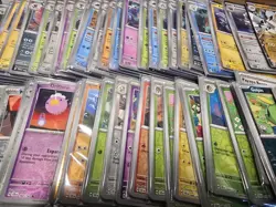 Pokemon Stellar Crown - 12 Card Lot - Min 1 Holo & Rev Holo Guaranteed - Image 1