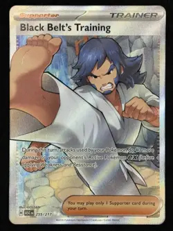 Black Belt's Training 255/217 Ultra Rare Ascended Heroes Pokemon TCG NM+ - Image 1