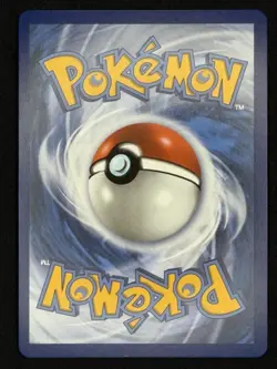 Black Belt's Training 255/217 Ultra Rare Ascended Heroes Pokemon TCG NM+ - Image 2