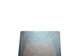 MTG: Fourth Edition: Birds of Paradise: Moderately Played Condition - Image 5