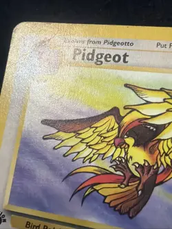 Pokemon TCG Pidgeot 1st Edition Jungle non holo Rare 24/64 - Image 2