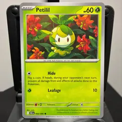 Petilil - 006/086 - Pokemon Black Bolt 2025 - Common Card NM - Image 1