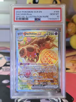 2024 Pokemon SCR EN Dachsbun EX Special Illustration Rare psa 10 - Image 1