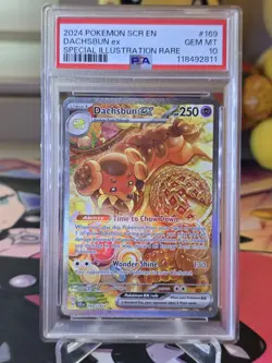 2024 Pokemon SCR EN Dachsbun EX Special Illustration Rare psa 10 - Image 2