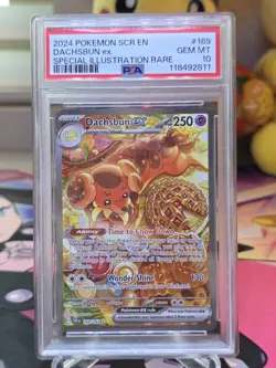 2024 Pokemon SCR EN Dachsbun EX Special Illustration Rare psa 10 - Image 3