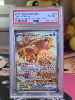 2024 Pokemon SCR EN Dachsbun EX Special Illustration Rare psa 10 - Image 4
