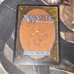 Island Sanctuary X1 Mtg Unlimited Mp - Image 2