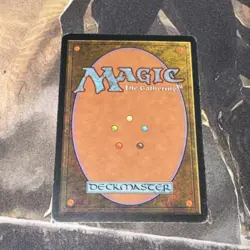 Time Warp X1 Mtg Tempest Mp - Image 2