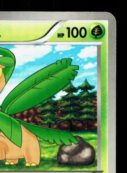 Tropius 005/076 Megalo Cannon MP 1st ED Japanese Pokemon Card TCG - Image 3