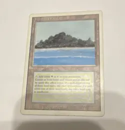 Wizards of the Coast Tropical Island Land Card Magic Jesper Myrfors - Image 1