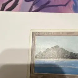 Wizards of the Coast Tropical Island Land Card Magic Jesper Myrfors - Image 3
