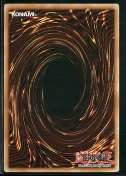 Big Shield Gardna (Bronze) Rare Duelist League Promo DL09-EN004 LP - Image 2